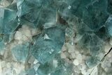 Cubic, Blue-Green Fluorite Crystals on Druzy Quartz - Fluorescent #185458-2